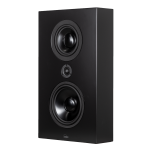 Lyngdorf  FR-1 Stereo Speaker